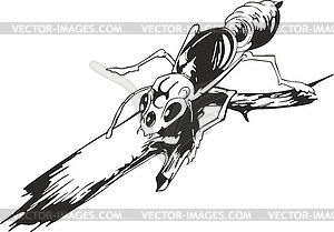 Ant on twig - vector clipart