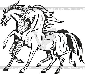 Two horses - vector clipart