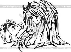 Horse and foal - vector image