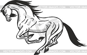 Бегает лошадь - изображение в формате EPS