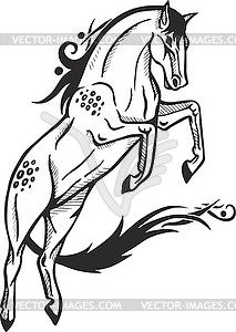 Stallion standing on two hoofs - vector clipart