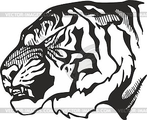 Tiger head - royalty-free vector clipart