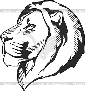 Lion head - vector image