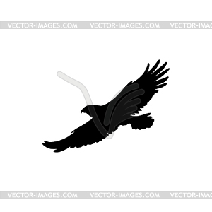 eagle flying clipart black and white