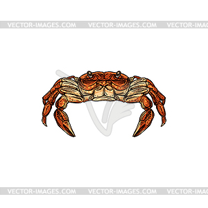 crabs clipart