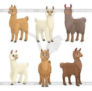 Lama Alpaca Guanaco Llama And Vicuna Animals Vector Image