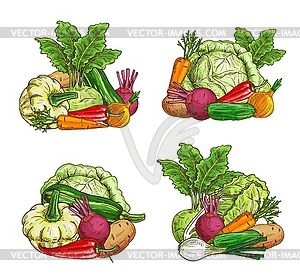 Ripe vegetable, greenery food sketch banner - vector image