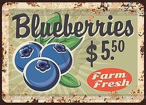 Blueberries rusty metal plate, vintage card - vector clipart