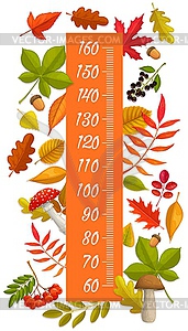 Kids height chart growth measure autumn leaves - vector clipart