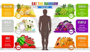 Rainbow color diet, weight loss, organic nutrition - vector image