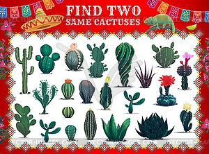 Mexican cactuses, find two same succulent plants - royalty-free vector image