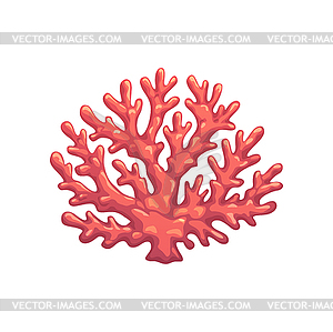 Cartoon underwater coral plant branch element - vector image