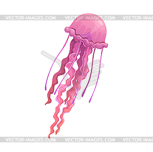 Cartoon jellyfish underwater animal, medusa - vector image