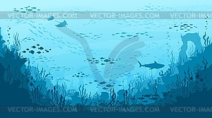 Underwater landscape, manta and shark, seaweeds - color vector clipart