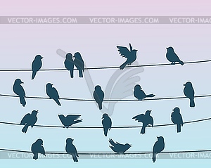 Sparrow birds flock on power line wires background - vector clip art