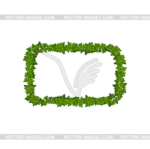 Lianas and ivy green leaves border of frame - vector clip art
