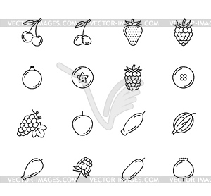 Farm garden and wild raw berries line icons set - vector clip art