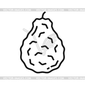 Bergamot citrus fruit raw food snack line icon - vector clip art