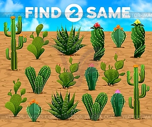 Find two same mexican prickly cactus succulents - vector clip art