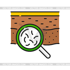 Soil microbes, bacteria research color line icon - vector clipart