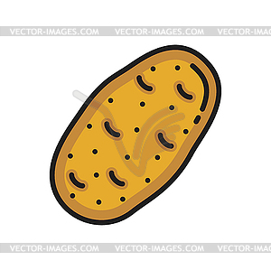 Potato tuber sweet bulbous food icon - vector clip art