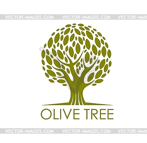 Olive tree, natural product symbol or icon - vector clip art