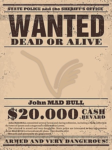 Vintage reward poster, western wanted banner - vector image