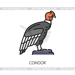 Орел Кондор птица символ Аргентины - изображение в векторном виде