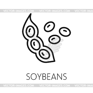 Bean legume vegetarian food outline icon - vector clipart