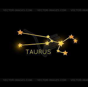 Taurus golden zodiac constellation, gold stars - vector image