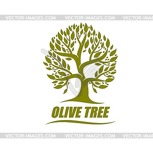 Символ оливкового дерева, эмблема - векторный клипарт