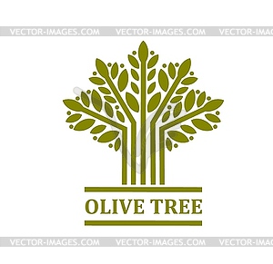 Olive tree icon, symbol, emblem - vector image