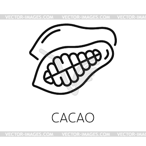 Cocoa or cacao beans outline icon - vector image