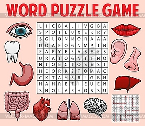 Human organs, body parts word search puzzle game - vector clipart