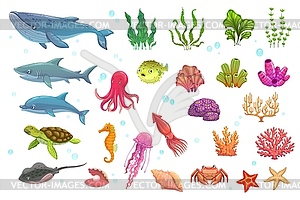 Cartoon underwater animals, seaweeds, fish, corals - vector image