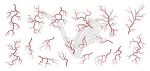 Красные вены, анатомия, кровеносная вена, артерия или капилляр - векторный дизайн