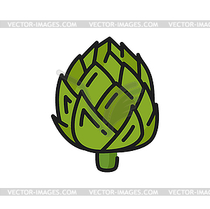 French globe artichoke, raw veggie food line icon - vector clip art