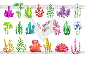 Cartoon underwater seaweed plants, sea algae set - vector clipart / vector image