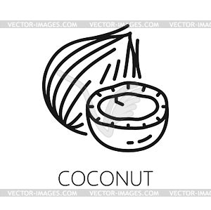 Coconut fruit in nutshell isolate outline coco nut - vector clipart