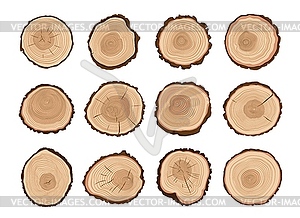 Tree trunks, stump wood cut with age rings - vector image
