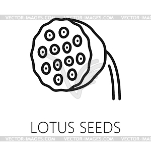 Lotus seed outline icon, organic healthy food - white & black vector clipart