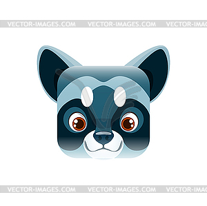 Raccoon cartoon kawaii square animal face portrait - vector image