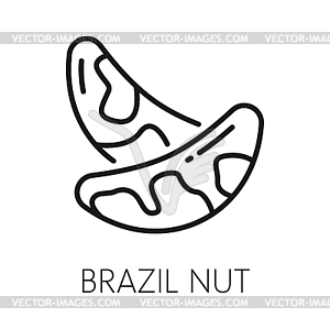 Brazilian nut food snack spotted seed outline icon - vector clipart