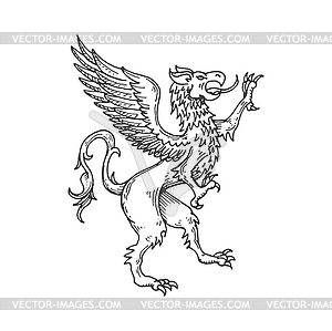 Griffin or gryphon medieval heraldic animal sketch - vector clip art