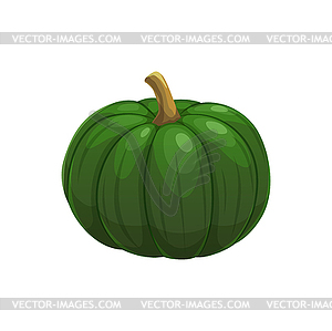 Мультяшный овощ из сырой тыквы, урожай овощей с фермы - стоковый векторный клипарт