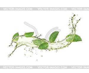 Green herbal tea flow wave splash and mint leaves - vector clip art