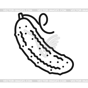 Pickle cucumber gherkin fresh raw veggie icon - vector clipart