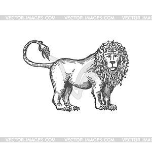 Royal heraldic lion sketch. king of animals - stock vector clipart