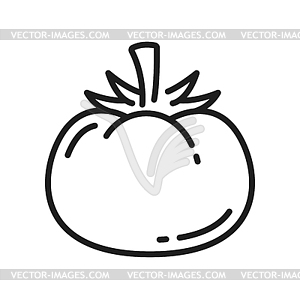 Значок линии плодов помидора со стеблевыми овощами - векторное изображение