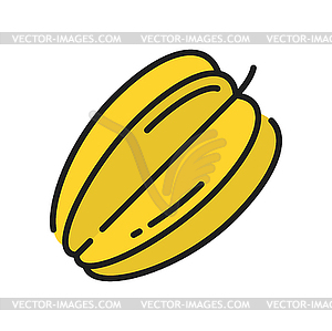 Starfruit star shape fruit carambola icon - vector image